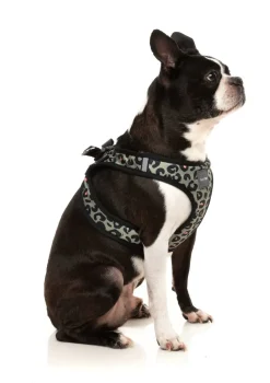 FuzzYard Savanna - Step In Harness