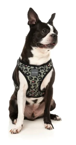 FuzzYard Savanna - Step In Harness