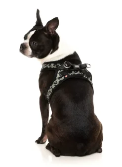 FuzzYard Savanna - Step In Harness