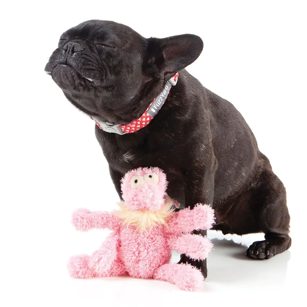 FuzzYard Scrachette the Flea