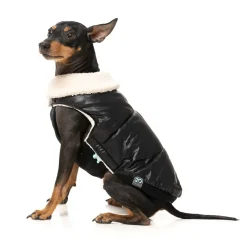 FuzzYard Sebastian Jacket - Black