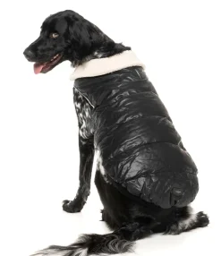 FuzzYard Sebastian Jacket - Black