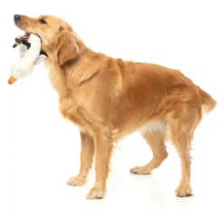 FuzzYard See-ya Seagull - The Yeetz - Dog Toy