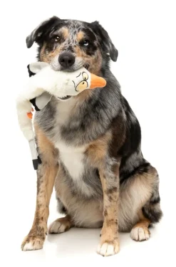 FuzzYard See-ya Seagull - The Yeetz - Dog Toy