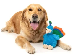 FuzzYard Showboat the Peacock