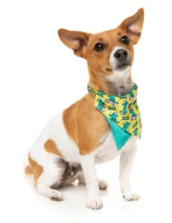 FuzzYard Sk8ter Gator - Bandana