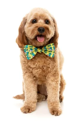 FuzzYard Sk8ter Gator - Bowtie