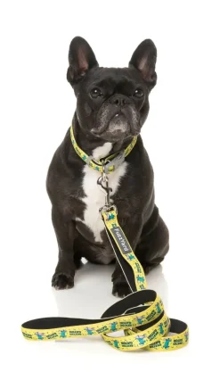 FuzzYard Sk8ter Gator - Dog Lead