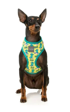 FuzzYard Sk8ter Gator - Harness