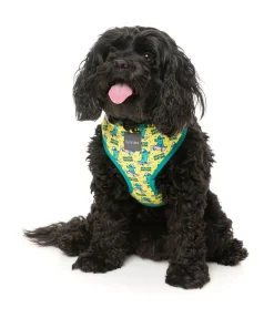 FuzzYard Sk8ter Gator - Harness