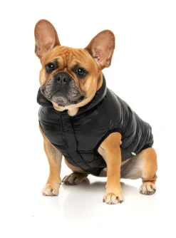 FuzzYard South Harlem Jacket - Black