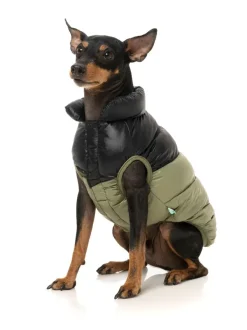 FuzzYard South Harlem Jacket - Olive