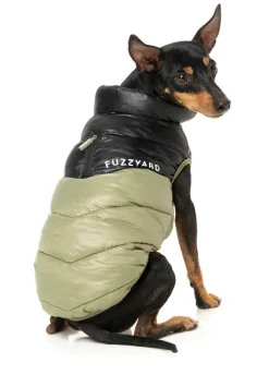 FuzzYard South Harlem Jacket - Olive