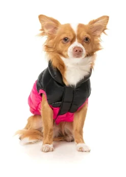 FuzzYard South Harlem Jacket - Pink