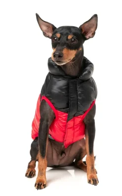 FuzzYard South Harlem Jacket - Red