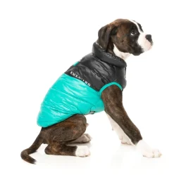 FuzzYard South Harlem Jacket - Teal