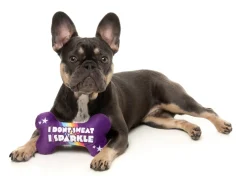 FuzzYard Sparkle Bone - Dog Toy