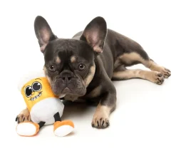 FuzzYard Steinzy - The Homies - Dog Toy