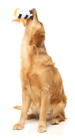 FuzzYard Steinzy - The Homies - Dog Toy