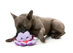 FuzzYard Stumpy Dractopus - Dog Toy