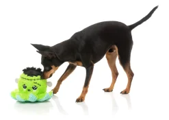FuzzYard Stumpy Franken-pus - Dog Toy