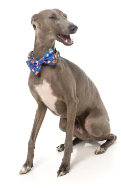 FuzzYard Supersize Me Bowtie