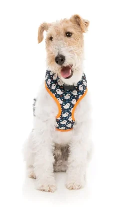 FuzzYard That's The Spirit - Dog Harness