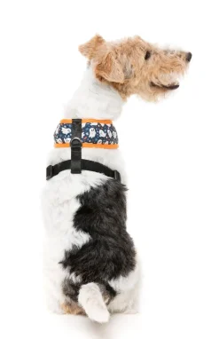 FuzzYard That's The Spirit - Dog Harness