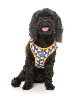 FuzzYard That's The Spirit - Dog Step In Harness