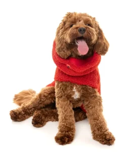 FuzzYard The Cosy Snood Coat - Cherry Red