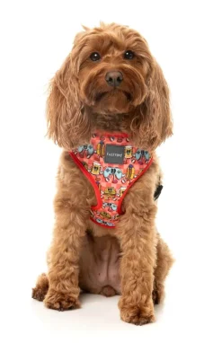 FuzzYard The Homies - Dog Harness