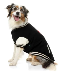 FuzzYard The Letterman Jacket - Black