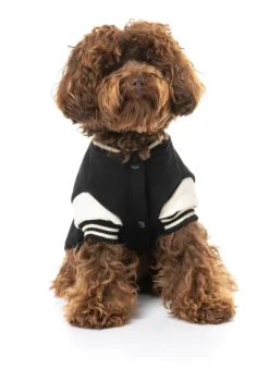 FuzzYard The Letterman Jacket - Black