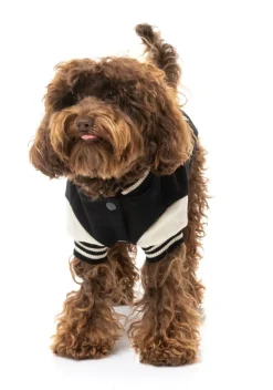 FuzzYard The Letterman Jacket - Black