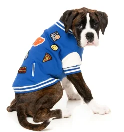 FuzzYard The Letterman Jacket - Blue