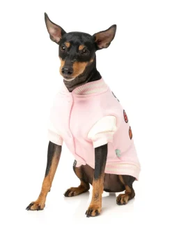 FuzzYard The Letterman Jacket - Pink