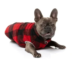 FuzzYard The Lumberjack - Red/Black