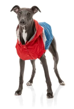 FuzzYard The Seattle Jacket - Red/Blue