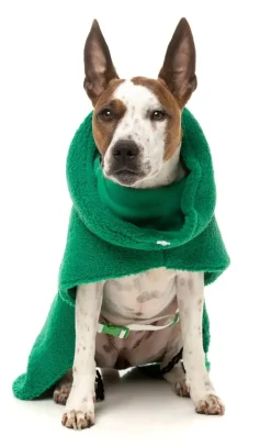 FuzzYard The Snuggle Snood Coat - Green