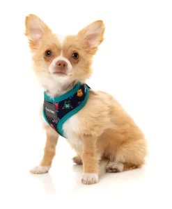 FuzzYard The Yardsters Harness