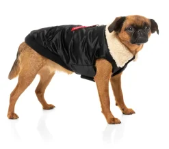 FuzzYard The Zoomies Jacket - Black