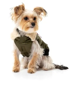 FuzzYard The Zoomies Jacket - Olive Green