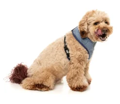 FuzzYard Thornbury - Aegean Blue - Dog Harness