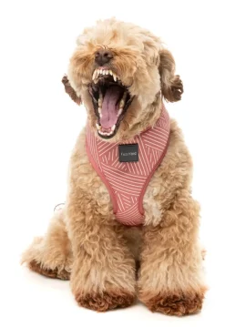 FuzzYard Thornbury - Brick Red - Dog Harness