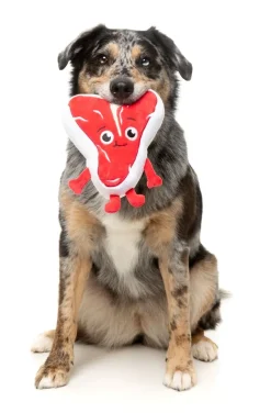 FuzzYard Tim Tee-Bowne - Dog Toy