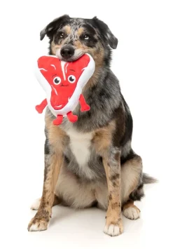 FuzzYard Tim Tee-Bowne - Dog Toy