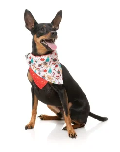 FuzzYard Tinsel Time - Dog 2 Pack