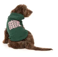 FuzzYard Treats Hoodie - Green