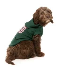 FuzzYard Treats Hoodie - Green