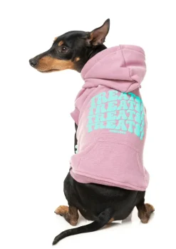 FuzzYard Treats Hoodie - Pink